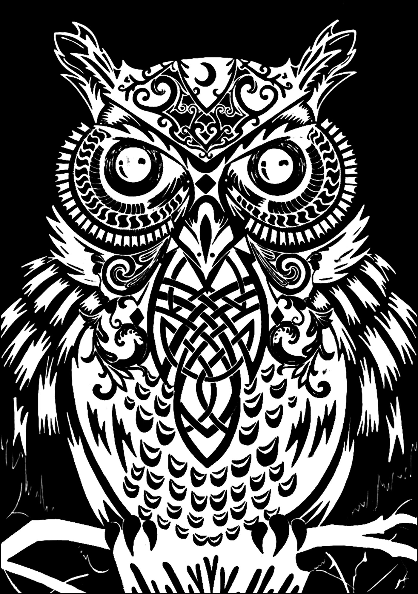 Owl Black Background 1400x1991 Owl Black Background