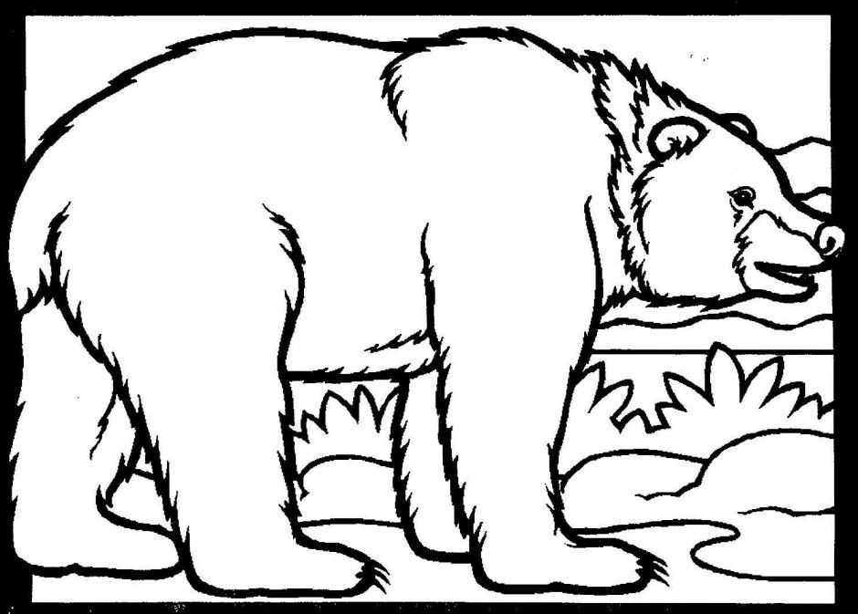 940x673 Black Bear Coloring Page Clipart Best 41054 Bear Coloring Pages