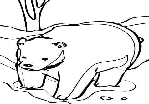 Black Bear Coloring Pages at GetColorings.com | Free printable ...