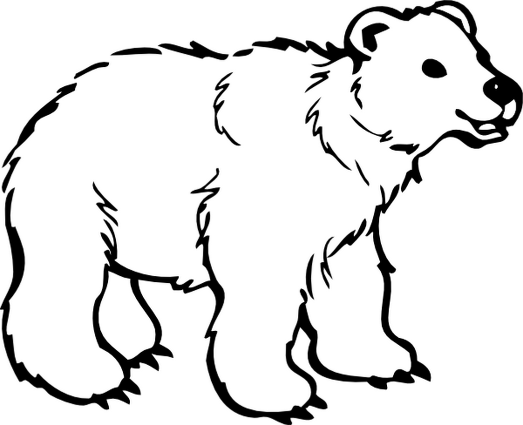 1048x852 Black Bear Coloring Pages Free Page Site 433916 Coloring Pages