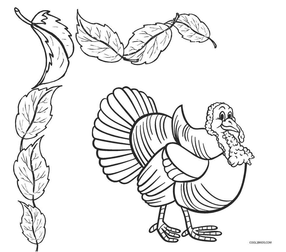980x864 Birds Coloring Pages Cool2bkids