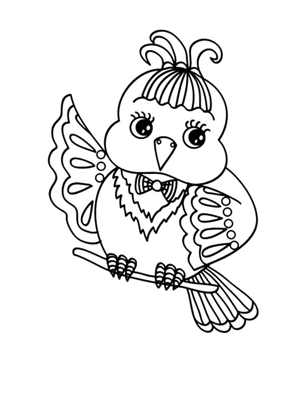 Cute Canary Bird Coloring Pages Best Place To Color 600x777 Cute Canary Bird Coloring Pages Best Place To Color