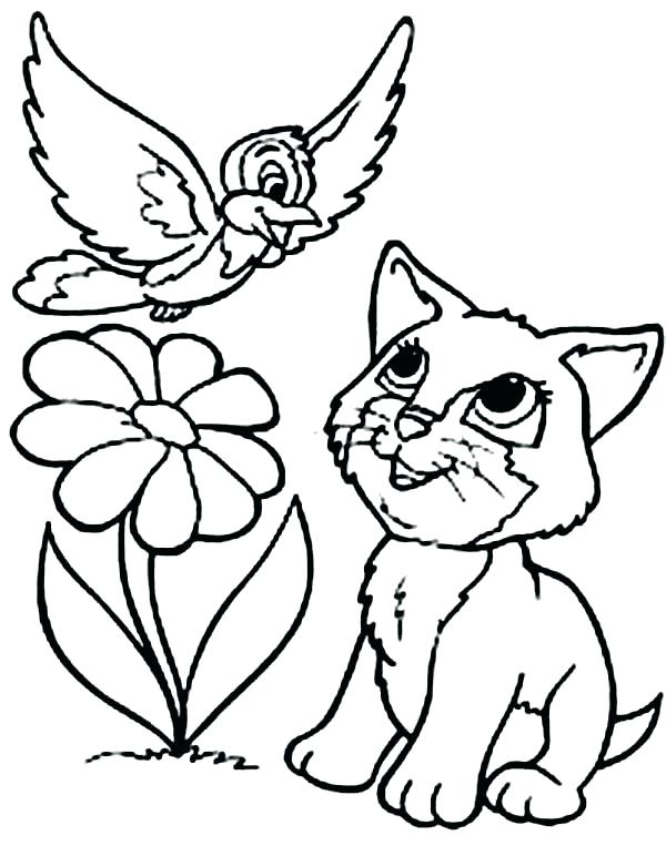 Black Cat Coloring Pages at GetColorings.com | Free printable colorings ...