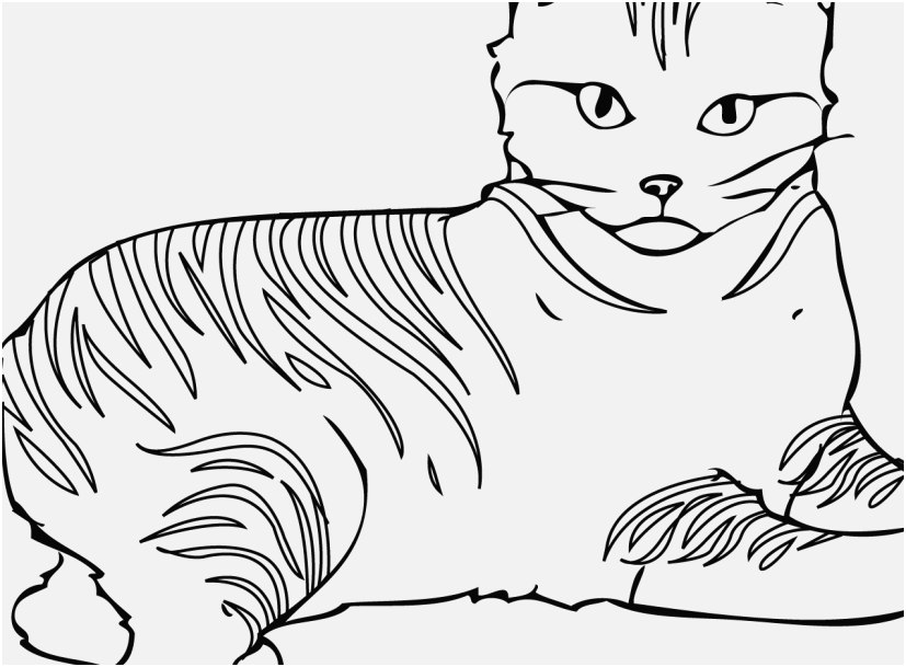 827x609 A Good Pictures Cat Coloring Pages Printable Most Helpful