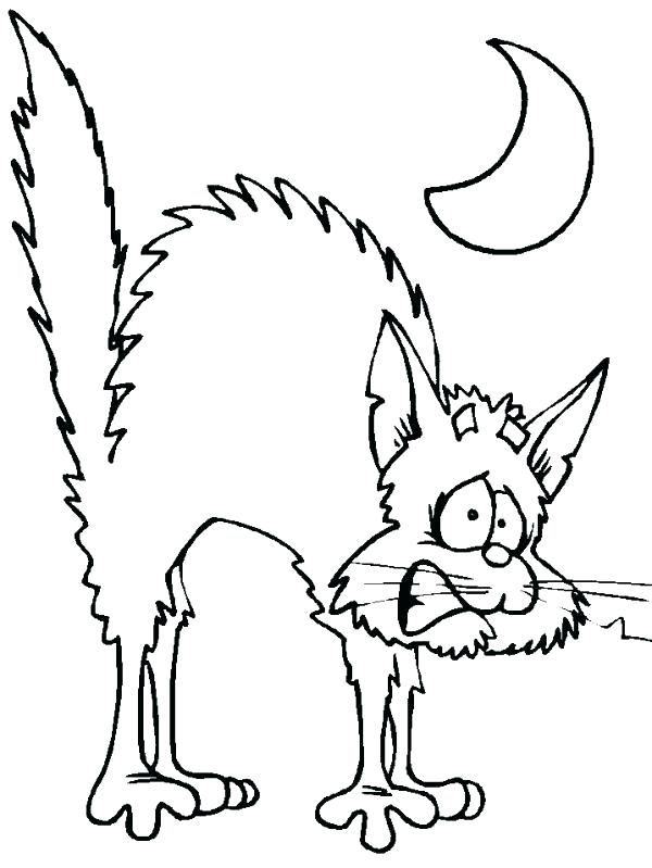 600x799 Halloween Cats Coloring Pages Regarding Black Cat Page Prepare 16