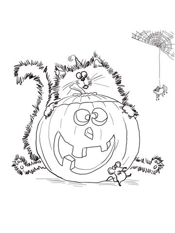360x480 Splat The Cat Halloween Coloring Pages Scaredy Cat Splat