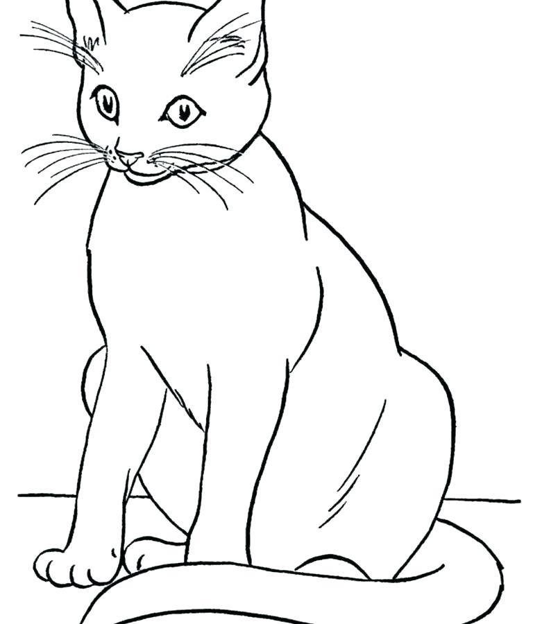 768x900 Cat Halloween Coloring Pages Black Cat Under Witch Spell Cat
