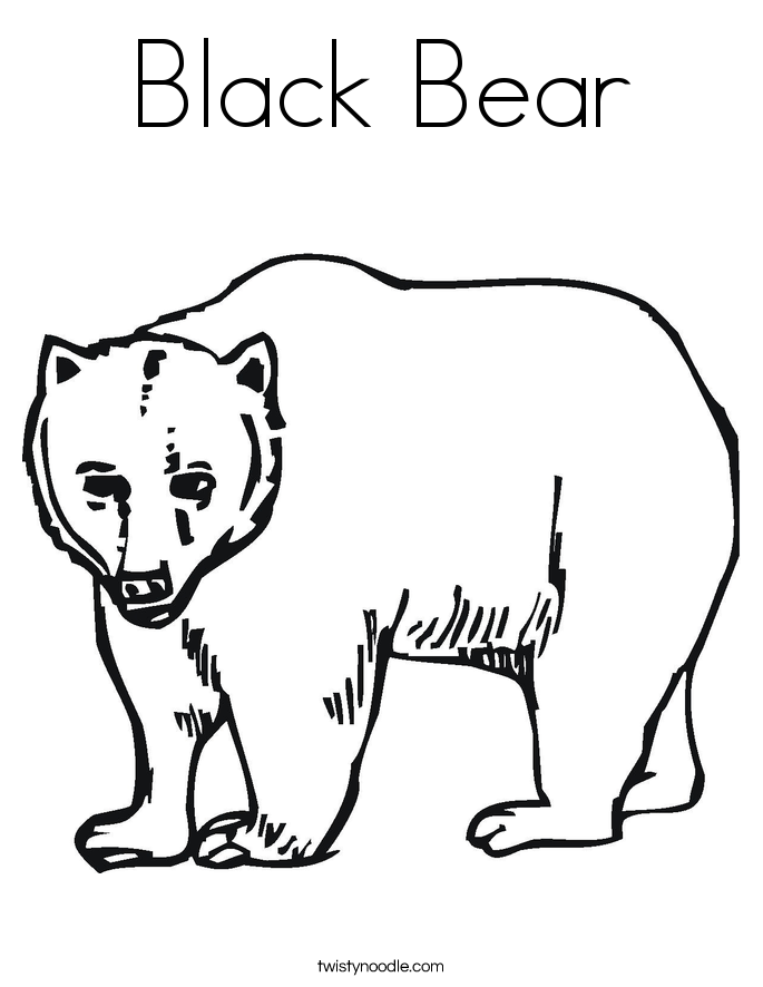 Black Bear Coloring Page 685x886 Black Bear Coloring Page