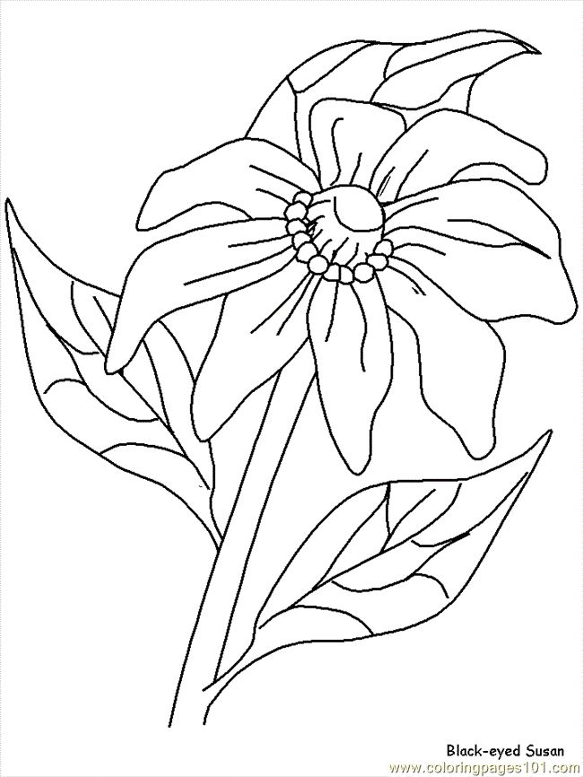 86 Best Coloring Pages Images On Coloring Book 650x866 86 Best Coloring Pages Images On Coloring Book