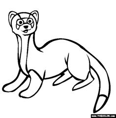Ferret Coloring Pages Coloring Pages Ferret 236x240 Ferret Coloring Pages Coloring Pages Ferret
