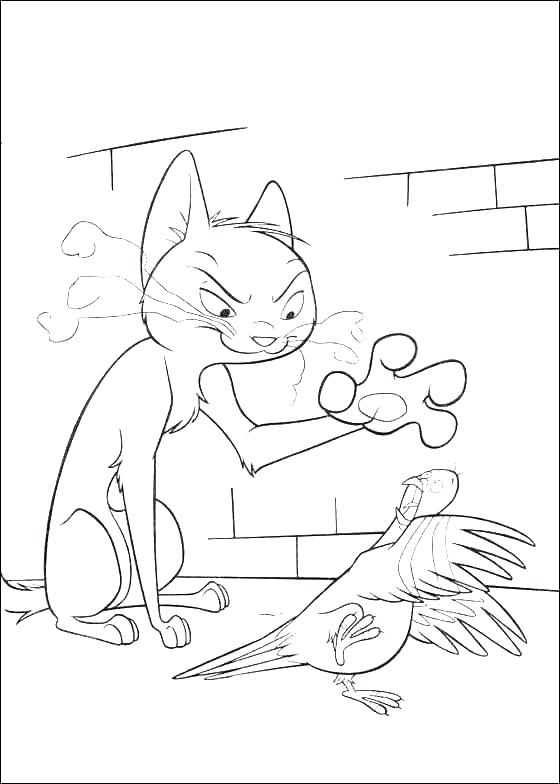 Ferret Coloring Pages Download The Ferret Coloring Page Here Baby 560x784 Ferret Coloring Pages Download The Ferret Coloring Page Here Baby