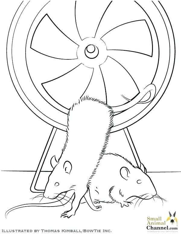 Ferret Coloring Pages 600x776 Ferret Coloring Pages