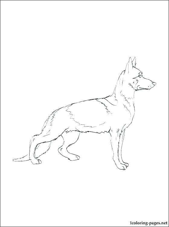 560x750 Black Lab Coloring Pages Black Lab Coloring Pages Black Lab