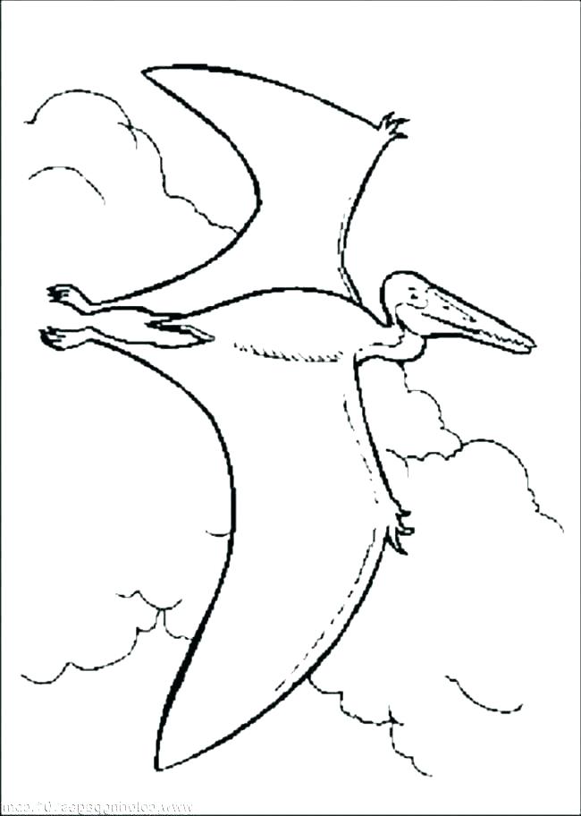 650x912 Coloring Pages Dog Impair.co