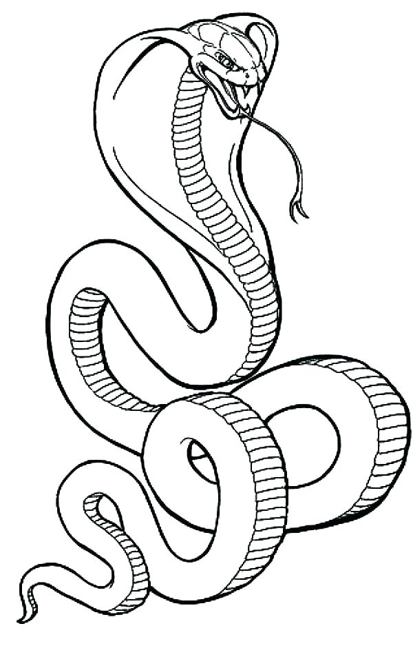 600x937 Coloring Page Snake Dangerous Snake King Cobra Coloring Pages Kids