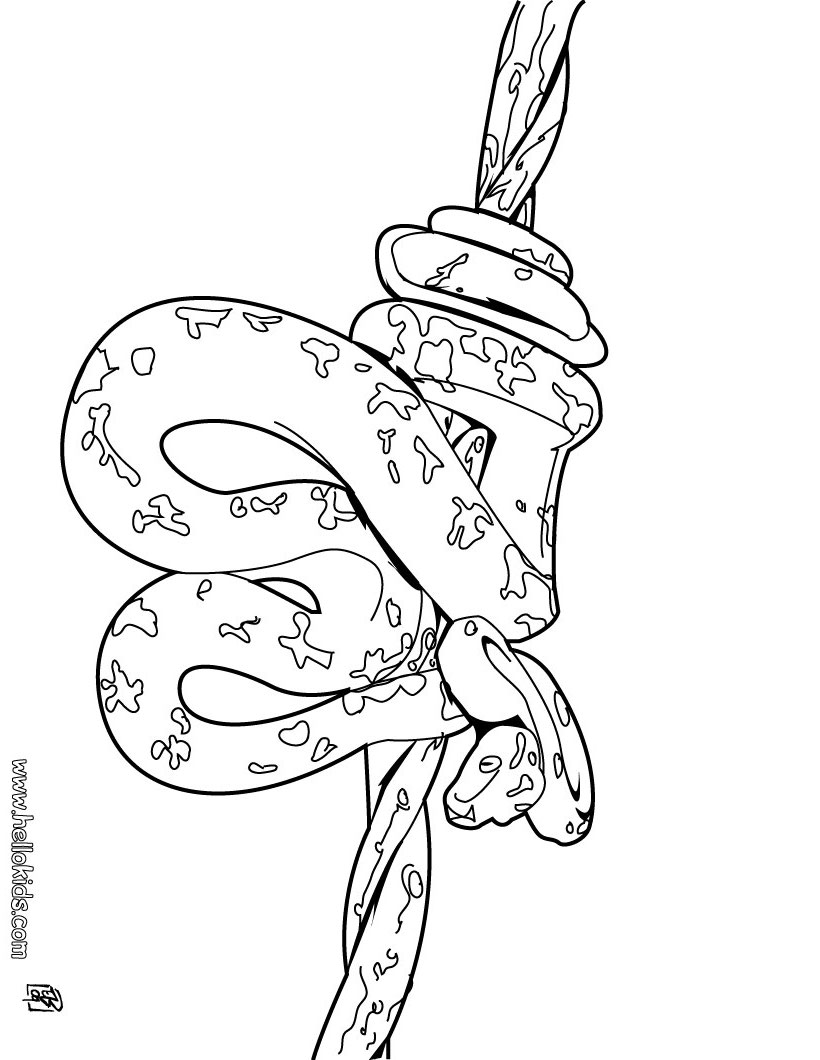 820x1060 Wonderful Anaconda Coloring Page Free Printabl