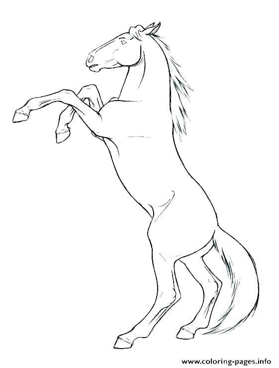 Flower Pony Coloring Page Pages Horse 9 Coloring Pages Of Horses 561x739 Flower Pony Coloring Page Pages Horse 9 Coloring Pages Of Horses