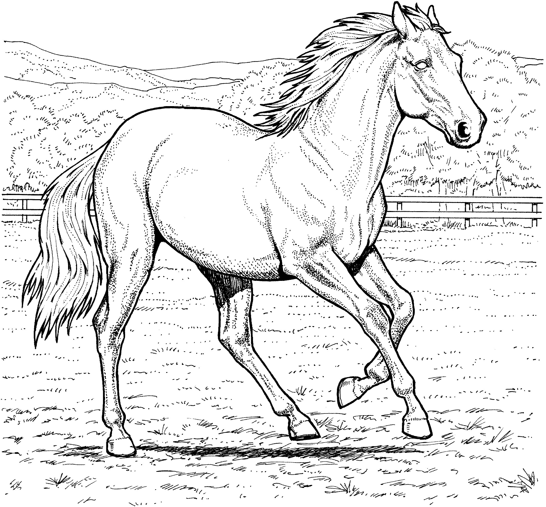 New Coloring Pages Horses Jumping 2126x1973 New Coloring Pages Horses Jumping