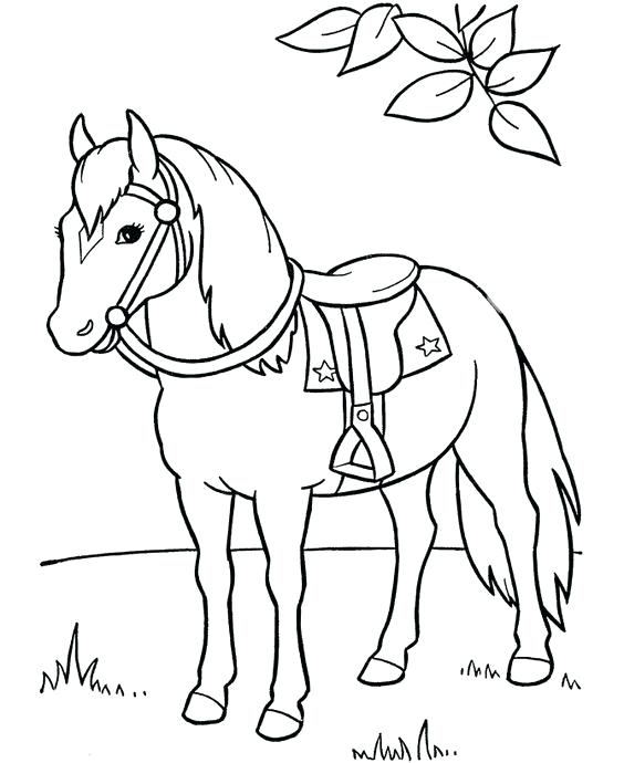 Spirit Horse Coloring Pages Spirit Horse Pictures To Color 564x690 Spirit Horse Coloring Pages Spirit Horse Pictures To Color