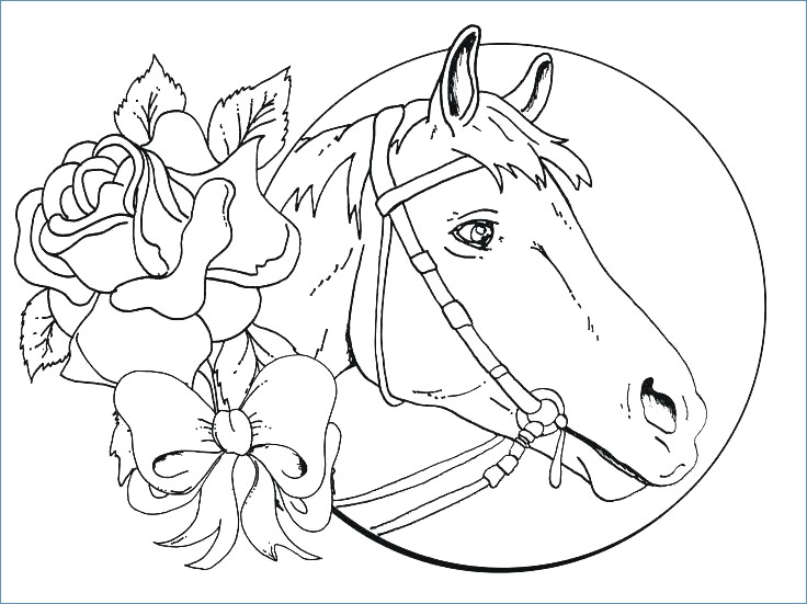 Beautiful Horse Coloring Page 736x551 Beautiful Horse Coloring Page