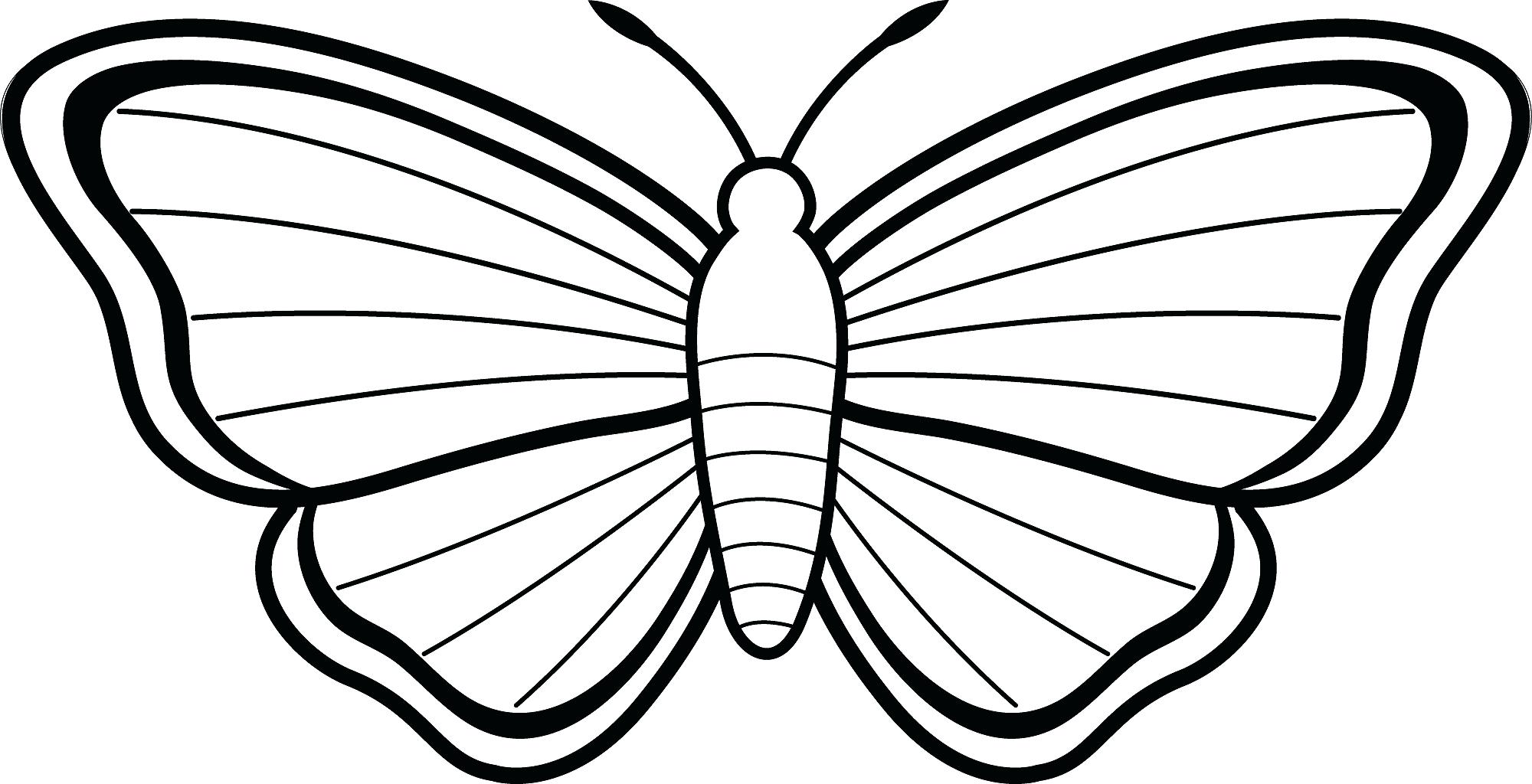 2000x1024 Butterflies And Flowers Coloring Pages For Adults Fantastic Blank