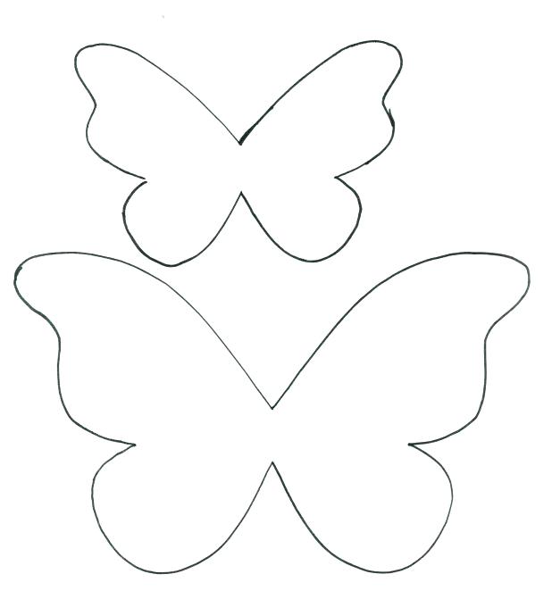 Blank Butterfly Coloring Pages at GetColorings.com | Free printable ...