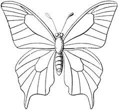 236x220 Free Butterfly Printable Butterfly Drawing, Butterfly