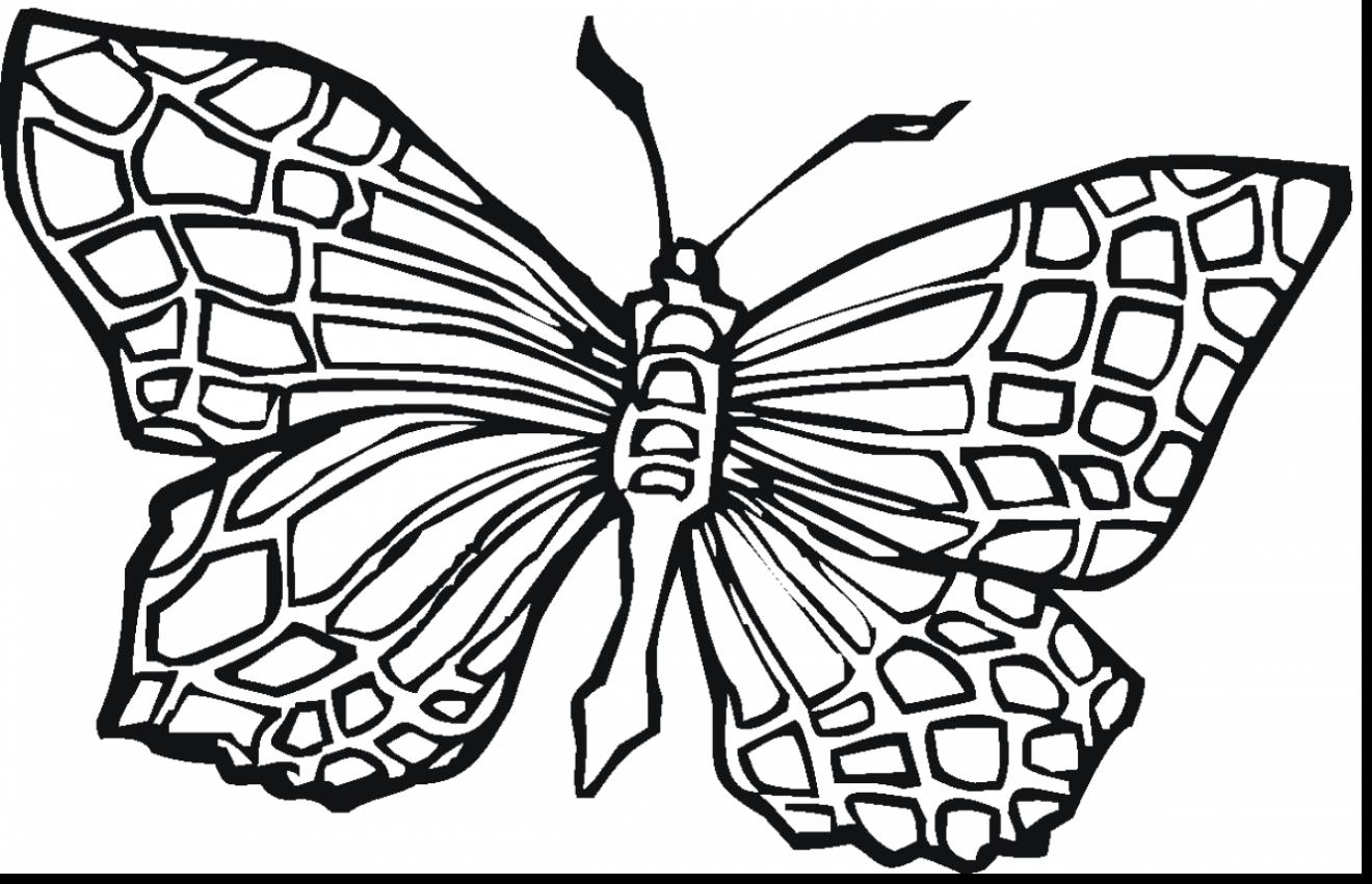 1320x851 Superb Printable Coloring Page Butterfly Colouring With Teenage