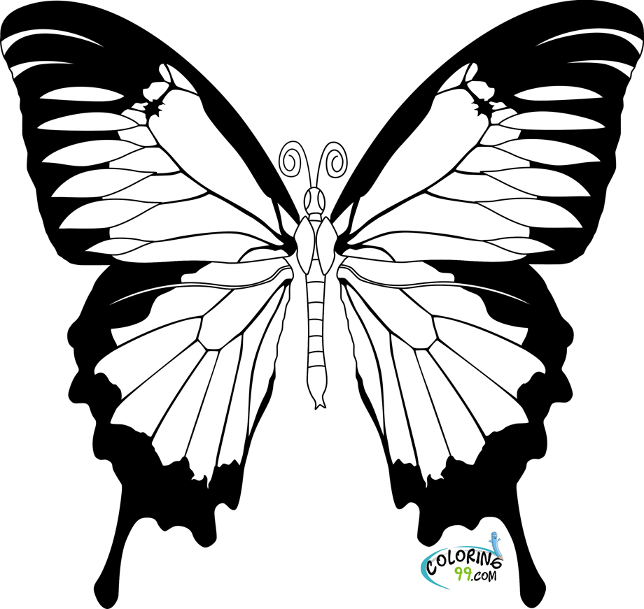 920x871 Best Photos Of Butterfly Coloring Pages