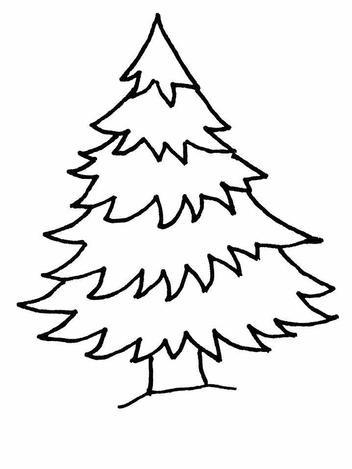 718x957 Christmas Tree Color Sheet 113 Free Christmas Tree Coloring Pages