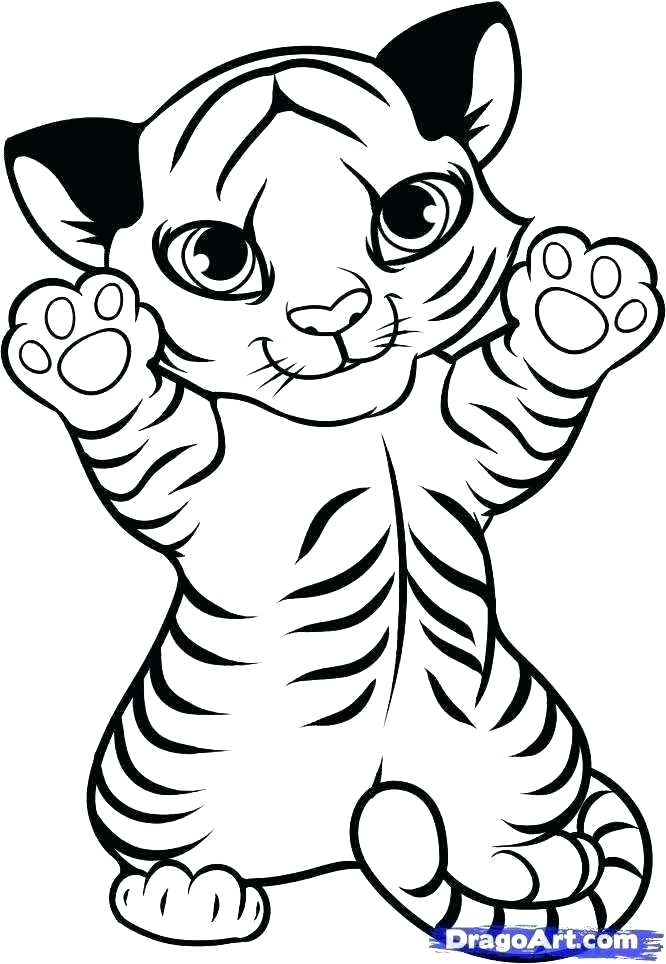 Full Coloring Pages Blank Coloring Sheets Full Size Of Coloring 666x964 Full Coloring Pages Blank Coloring Sheets Full Size Of Coloring