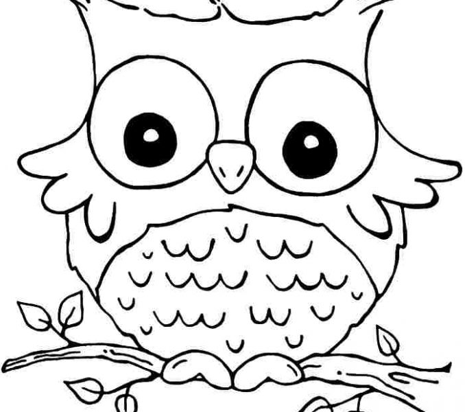 678x600 Girls Printable Coloring Pages Coloring Page Ideas