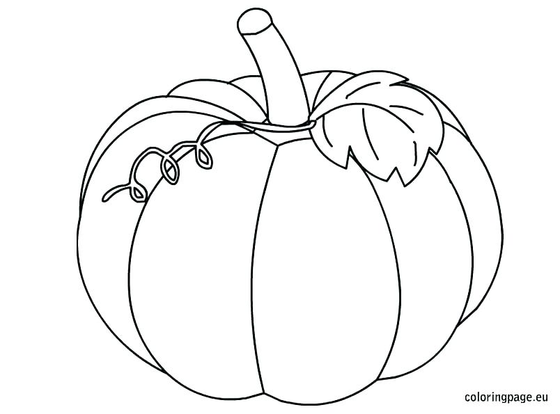 804x595 Pumpkin Coloring Pages Print Blank Pumpkin Coloring Pages Pumpkin