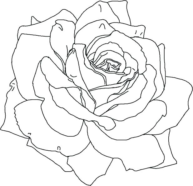 618x595 Hearts And Flowers Colouring Pages Coloring Rose Flower Printable