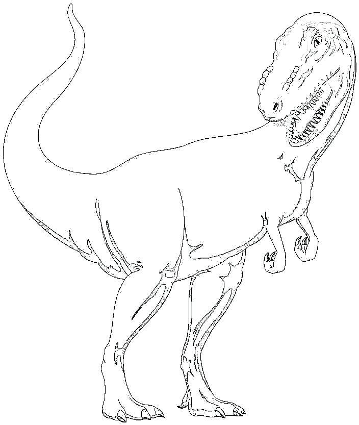 704x833 T Rex Color Page Coloring Coloring Page Vs T Coloring Coloring