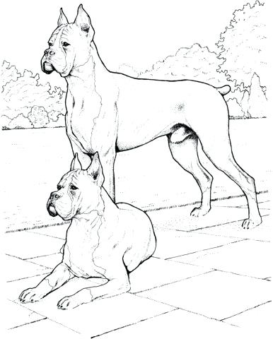 386x480 Bloodhound Coloring Pages Coloring Pages Cute Little Coloring Page