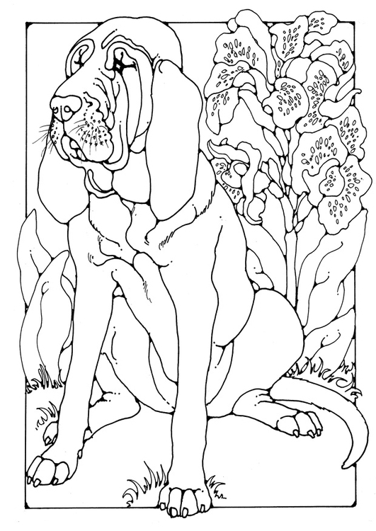 531x750 Coloring Page Bloodhound Dog Patterns Bloodhound