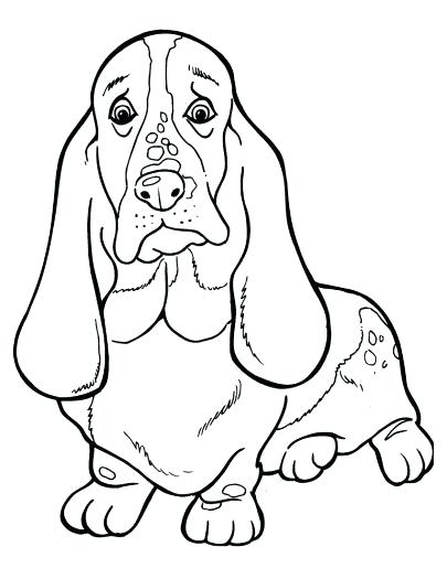 405x525 Basset Hound Coloring Pages Basset Hound Coloring Pages Free