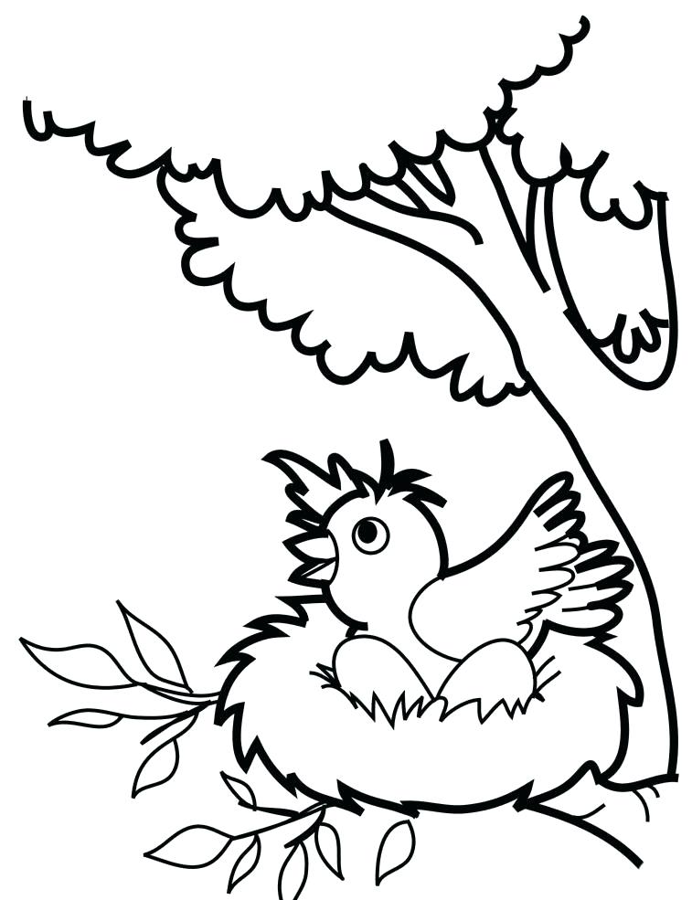Bird Coloring Pages Birds Coloring Pages Bird Coloring Pages 757x985 Bird Coloring Pages Birds Coloring Pages Bird Coloring Pages
