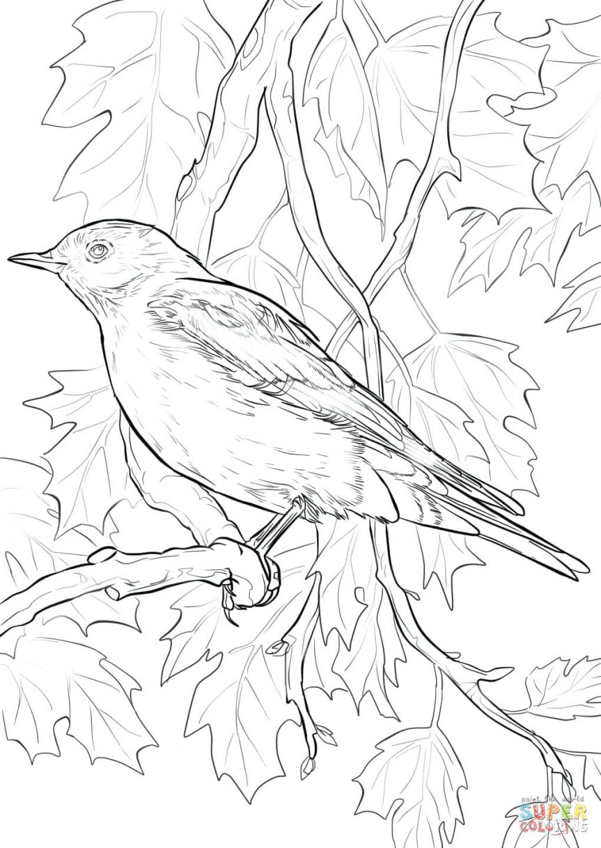 Fresh Bluebird Coloring Pages For Kids Design Free Coloring Pages 863x1218 Fresh Bluebird Coloring Pages For Kids Design Free Coloring Pages