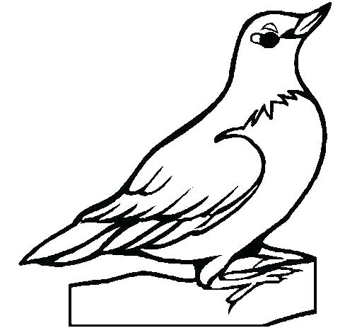 Blue Bird Coloring Pages At GetColorings.com | Free Printable Colorings ...