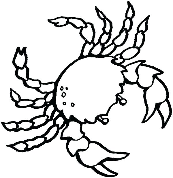 600x617 Crab Coloring Pages Blue Crab Coloring Page A Sea Cute Crab Crab