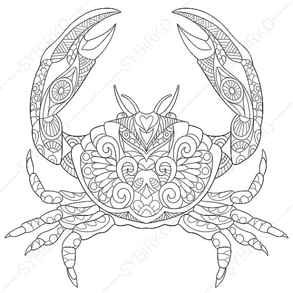 570x570 Crab Coloring Pages Crab Coloring Page Blue Crab Coloring Pages