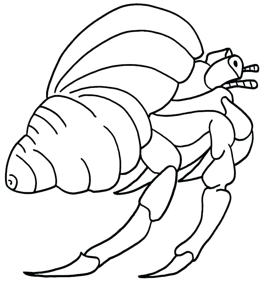 850x904 Crab Coloring Pages Crab Coloring Pages Crab Coloring Pages Blue