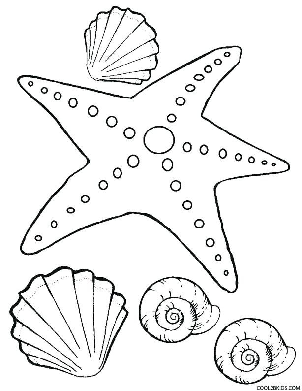 614x794 Crab Coloring Sheet Spider Crab Coloring Pages Blue Crab Coloring