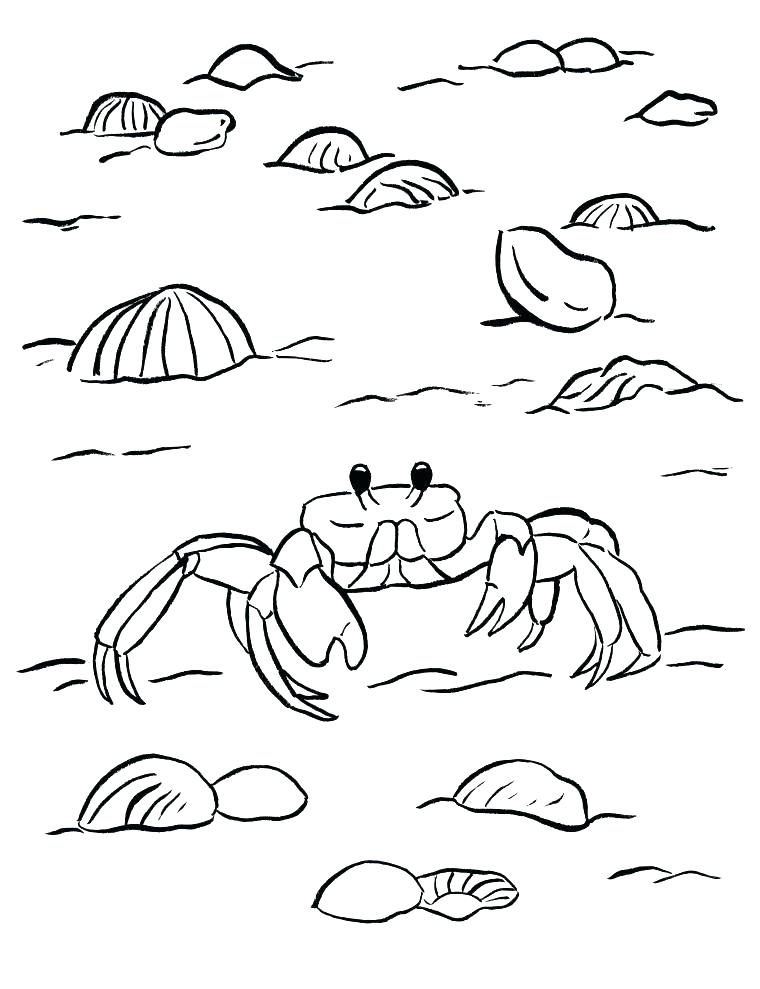760x989 Hermit Crab Coloring Page Coloring Pages Crab Crab Coloring Pages