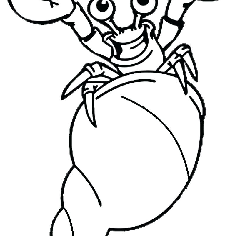 850x800 Hermit Crab Coloring Page Crab Coloring Pages M Sketch Of Blue