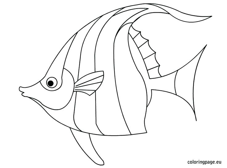 One Fish Two Fish Red Fish Blue Fish Coloring Pages Two Fish Red 736x544 One Fish Two Fish Red Fish Blue Fish Coloring Pages Two Fish Red