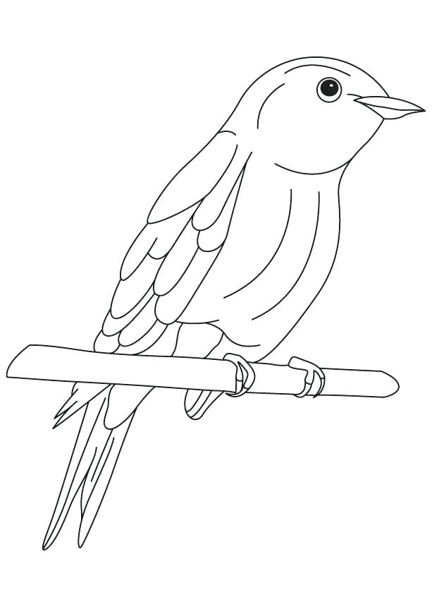 613x860 Blue Bird Coloring Pages Bluebird Of Happiness Coloring Page Blue
