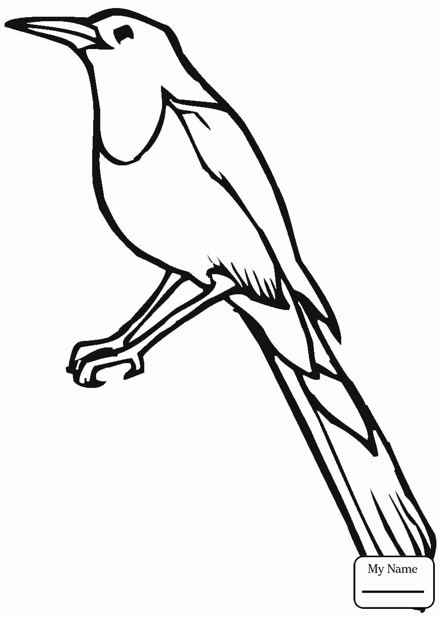 Blue Jay Coloring Page at GetColorings.com | Free printable colorings ...